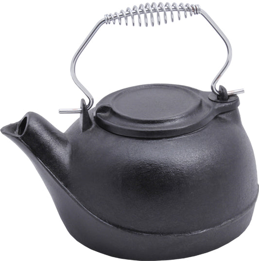 Cast Iron Stove Top Kettle